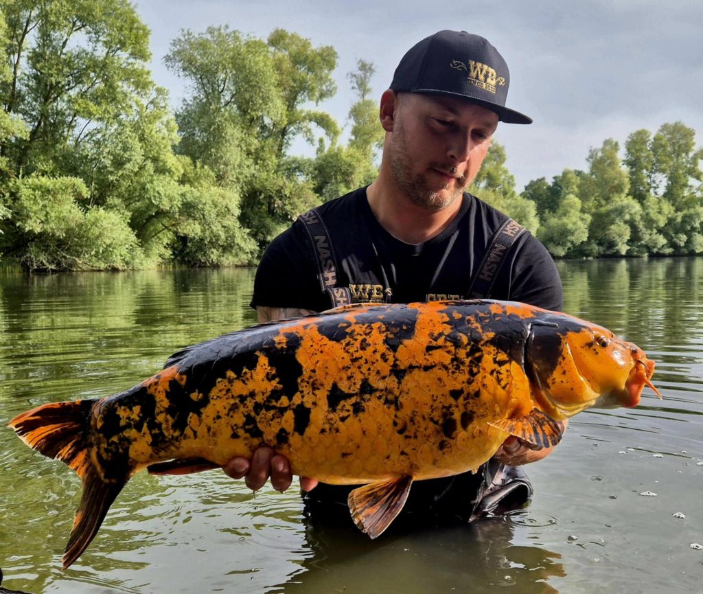 image d'un pêcheur avec une grosse carpe dans ses mains